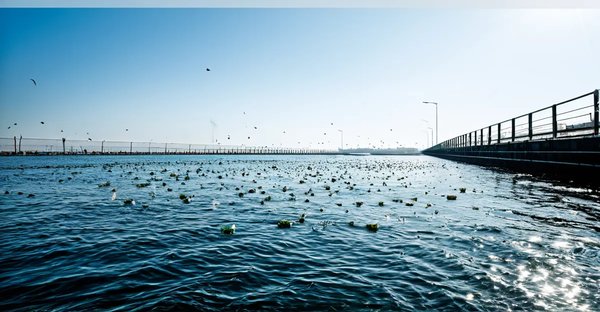 Barrage flottant antipollution : protection efficace contre les débris et contaminants